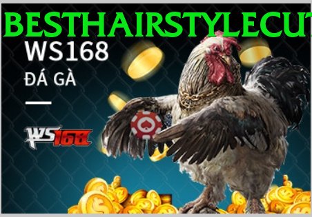 Đá Gà Trực Tiếp - Ưu đãi đặc biệt